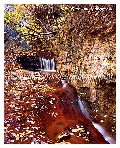 450616   Intimate Falls Zion NP